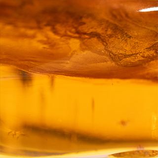 Ambre